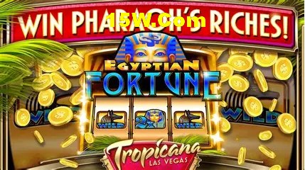 VIP Bronze Benefits